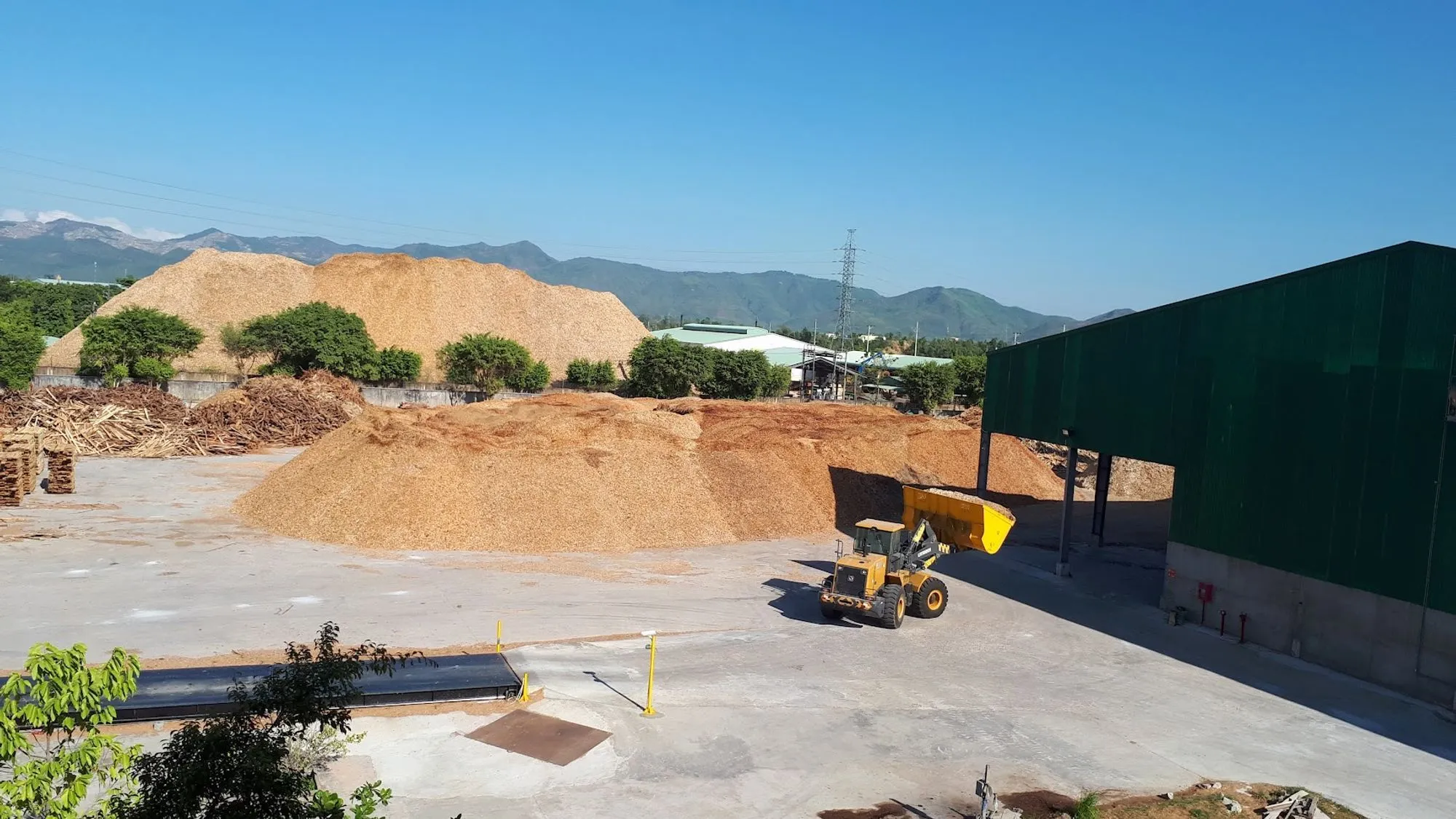 The feedstock yard at an Ayo Biomass plant: hills of wood chips and sawdust beside the drying hall, with a loader carrying a bucket in.