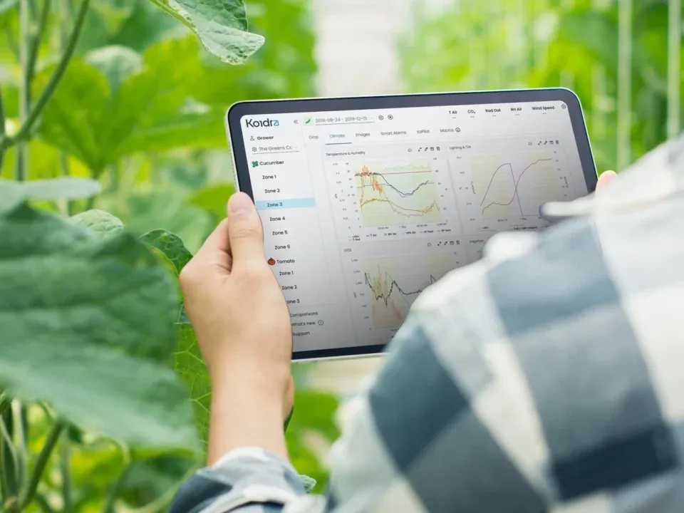 A grower in a greenhouse holding a tablet showing Koidra dashboards