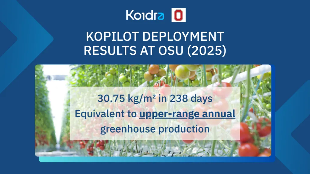 🌱 Cherry Tomato Production: Upper Benchmark Yield in a Shortened Production Cycle