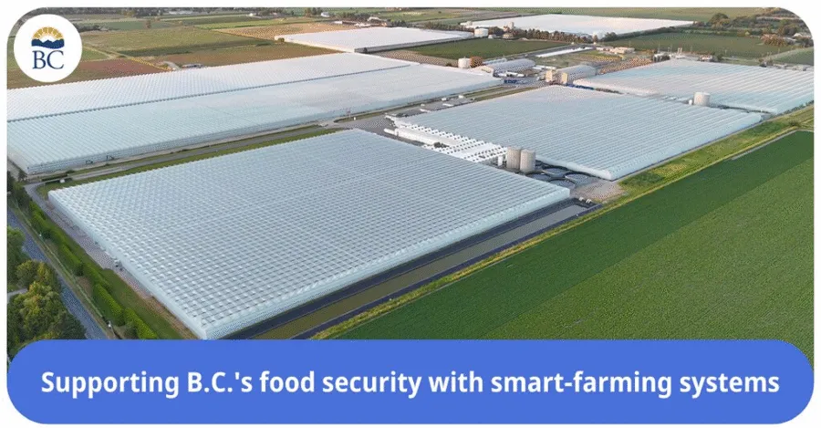 Koidra Contributes Autonomous Control Technology to BCCAI-Supported Smart Greenhouse Project