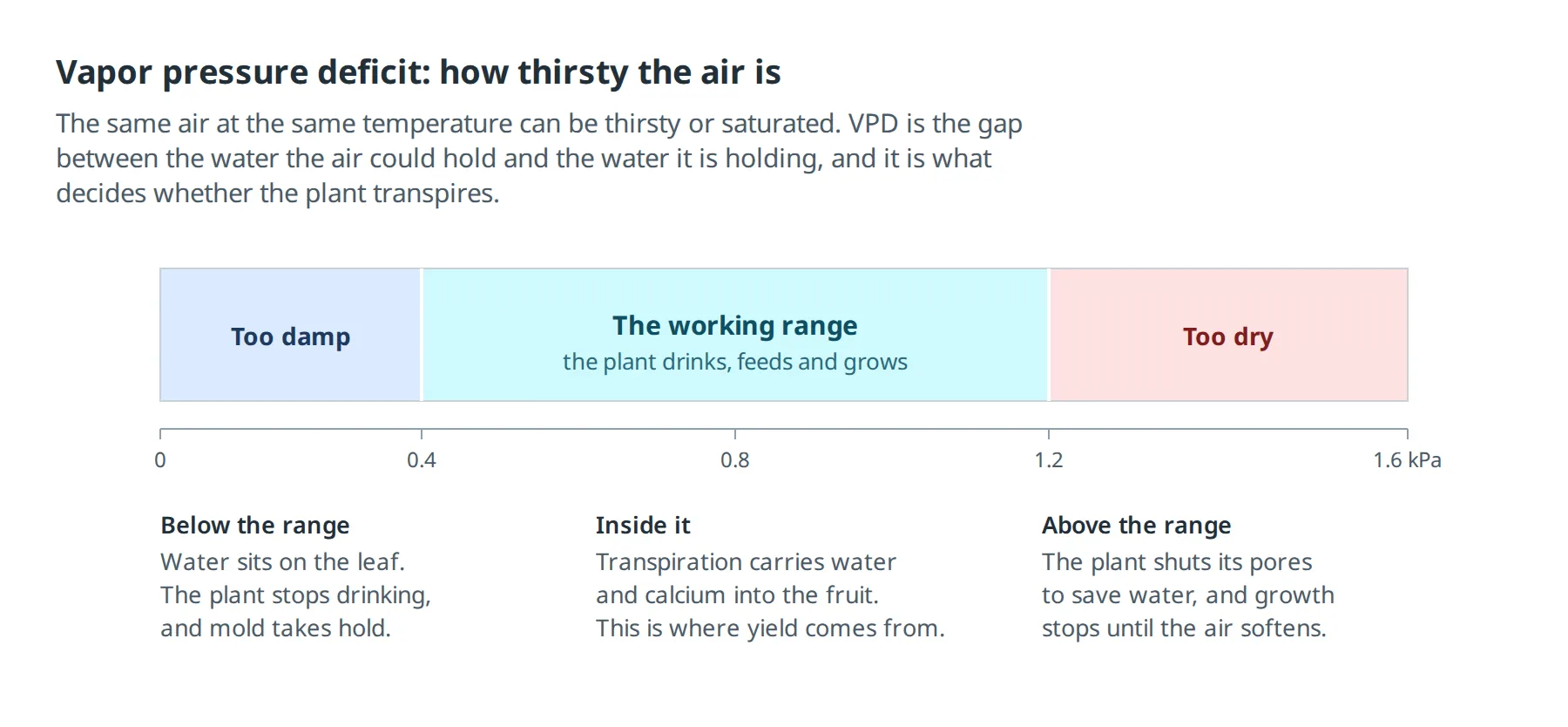 A scale of vapor pressure deficit from zero to 1.6 kilopascals, split into three bands: too damp below 0.4, the working range between 0.4 and 1.2, and too dry above it, with what happens to the plant in each.