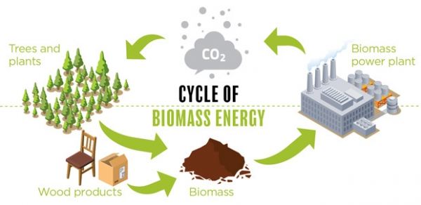 biomassa-energie