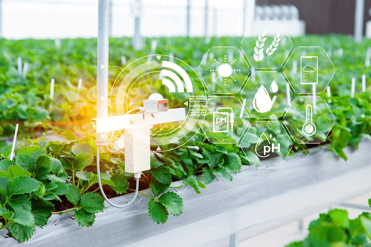 Intelligent automation solution